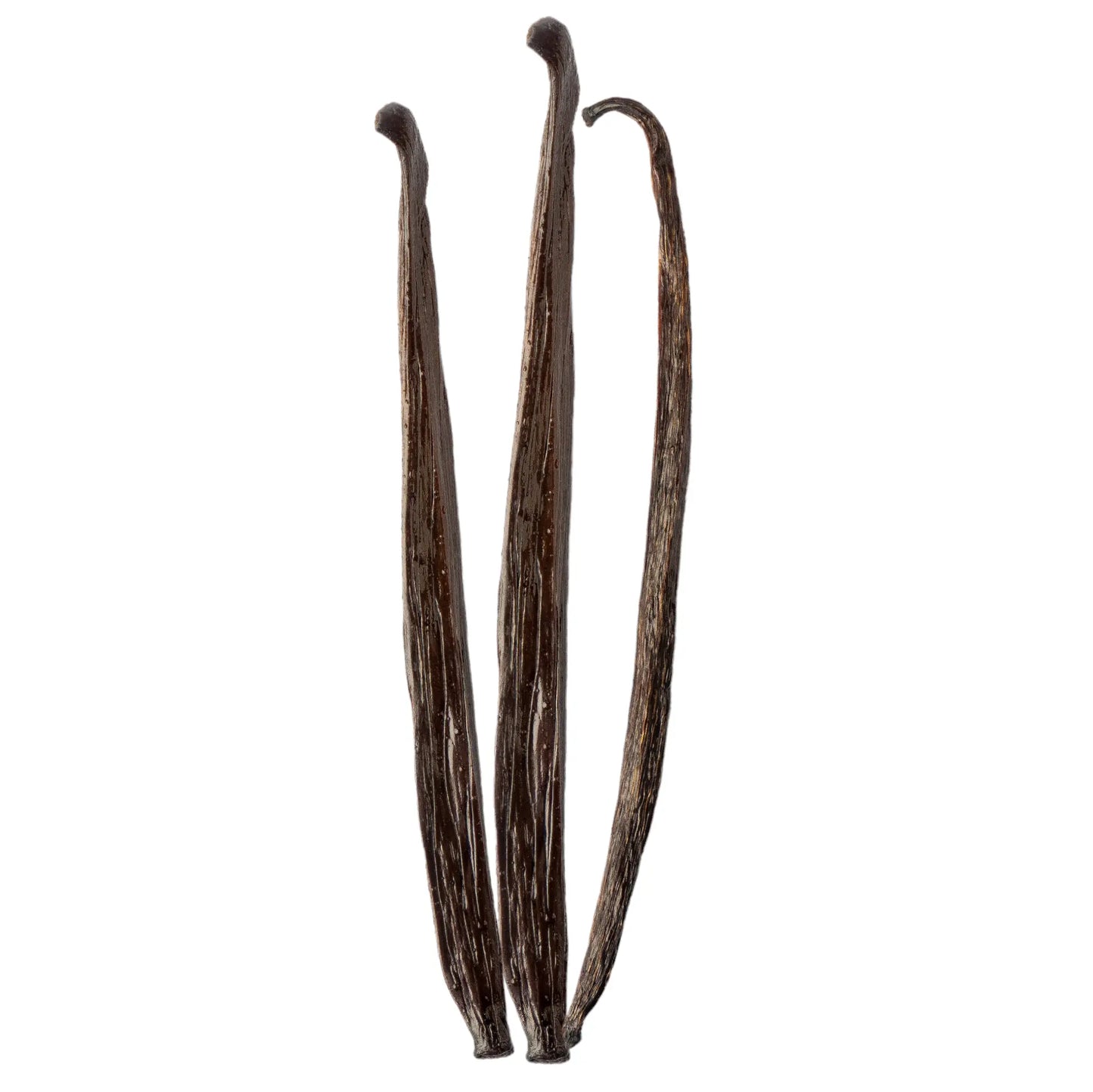 Vanilla Trio Selection 2.2 lb